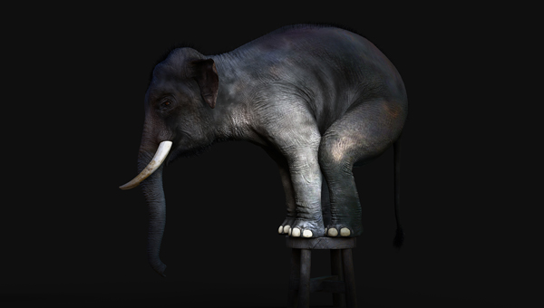 3d-illustration-of-an-elephant-standing-on-a-small-stool-isolated-on-dark-black-background-with-clipping-path_.jpg